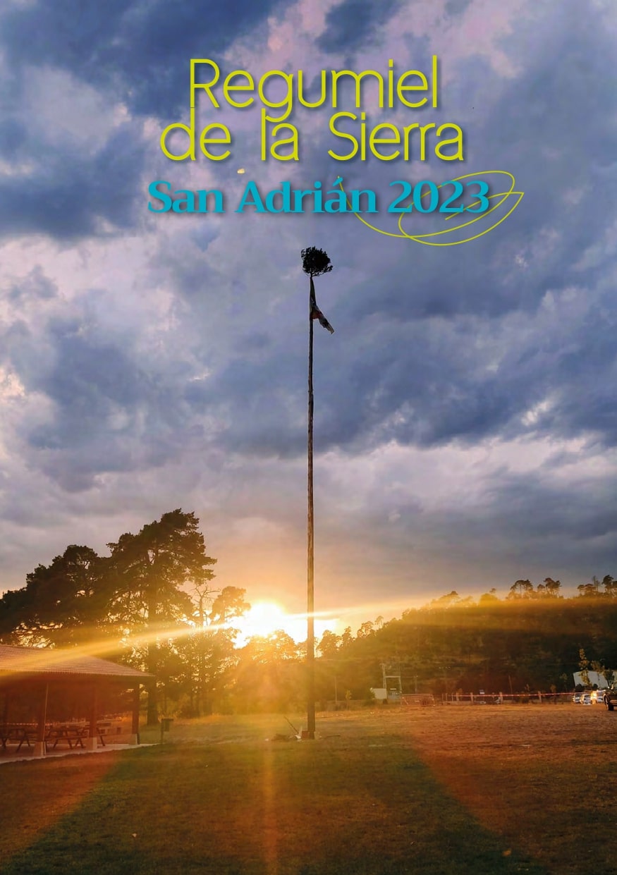 Fiestas San Adrian 2023