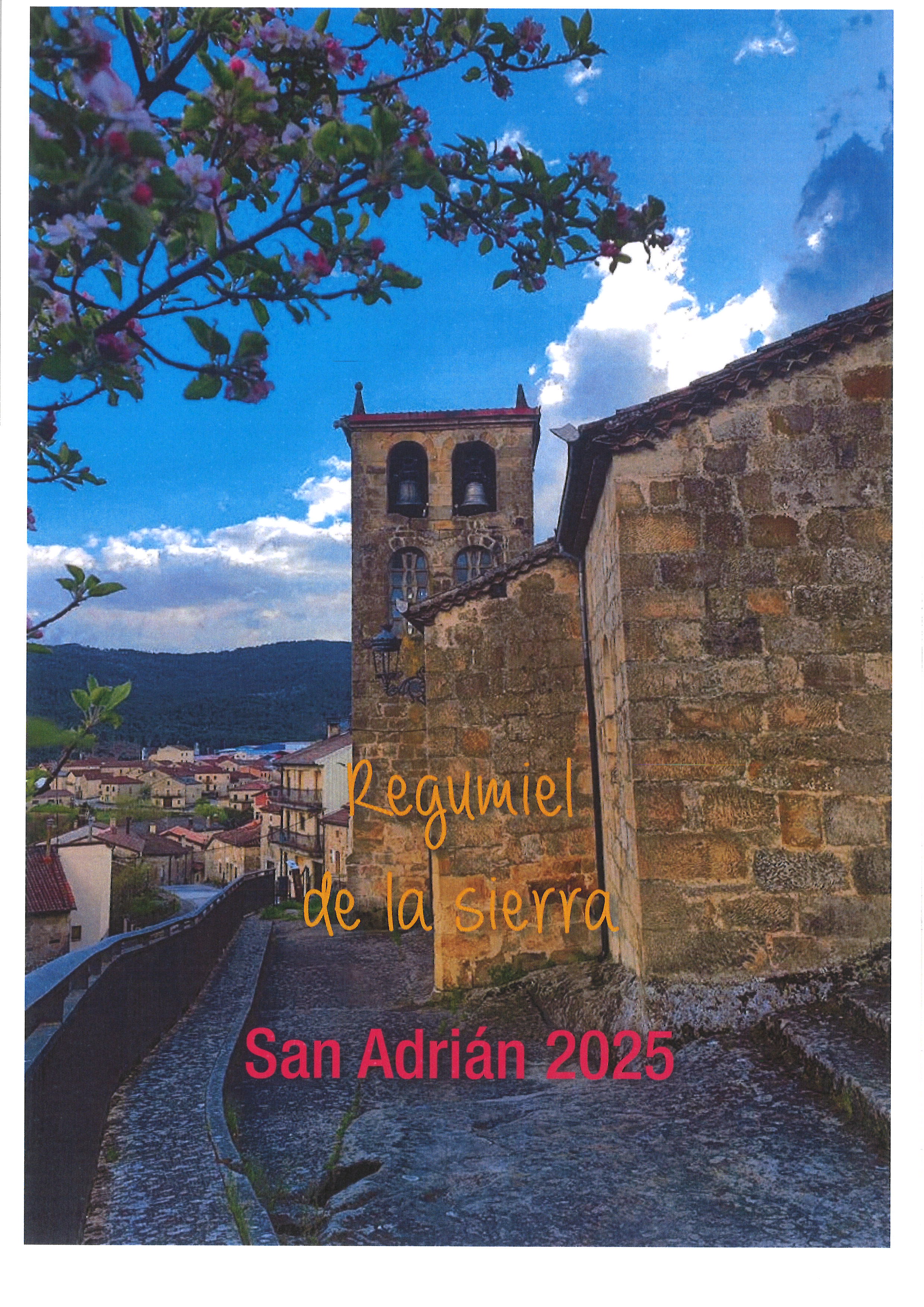 SAN ADRIÁN 2025 PROGRAMA FIESTAS