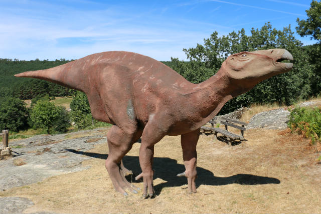 HUELLAS DE DINOSAURIO (ICNITAS)