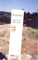Indicativo