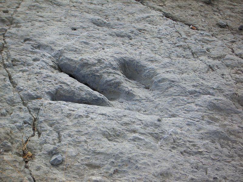Huella